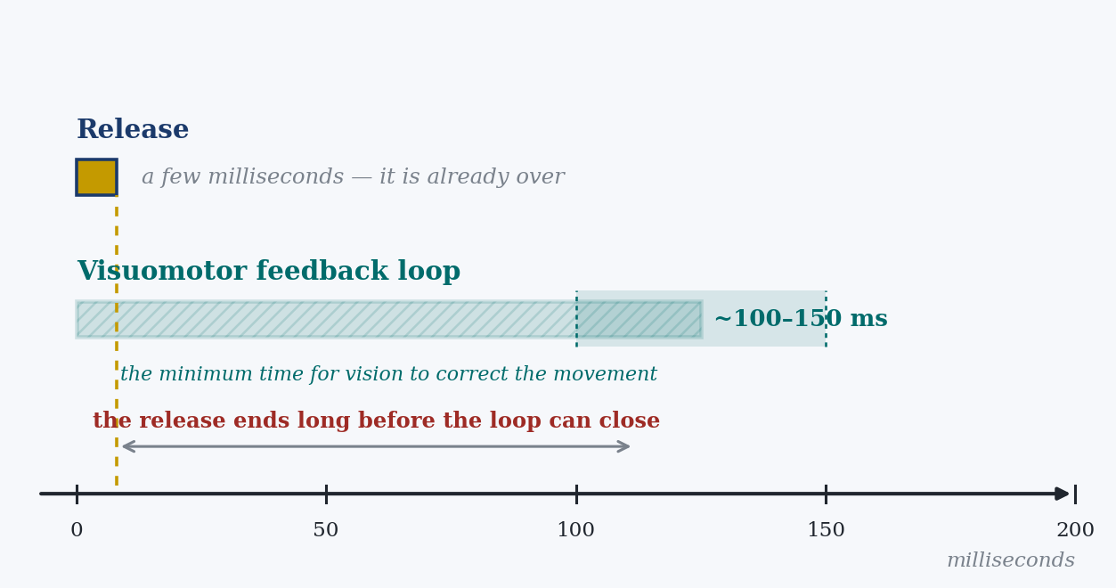 Figure 3. The window of time. The visual feedback loop takes about 100 to 150 ms to close; the release lasts a few milliseconds. The gesture is over long before vision can correct it: it cannot be piloted, it can only be launched. Original schematic representation for teaching purposes. Values representative of the trends, not original datasets.