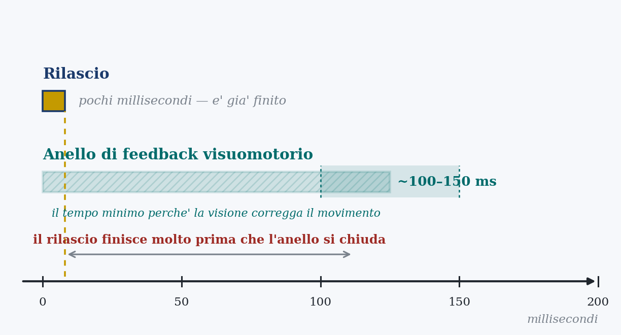 Figura 3. La finestra del tempo. L’anello di feedback visivo impiega circa 100–150 ms a chiudersi; il rilascio dura pochi millisecondi. Il gesto è finito molto prima che la vista possa correggerlo: non si può pilotare, si può solo lanciare. Rappresentazione schematica originale a fini didattici. Valori rappresentativi delle tendenze, non dataset originali.