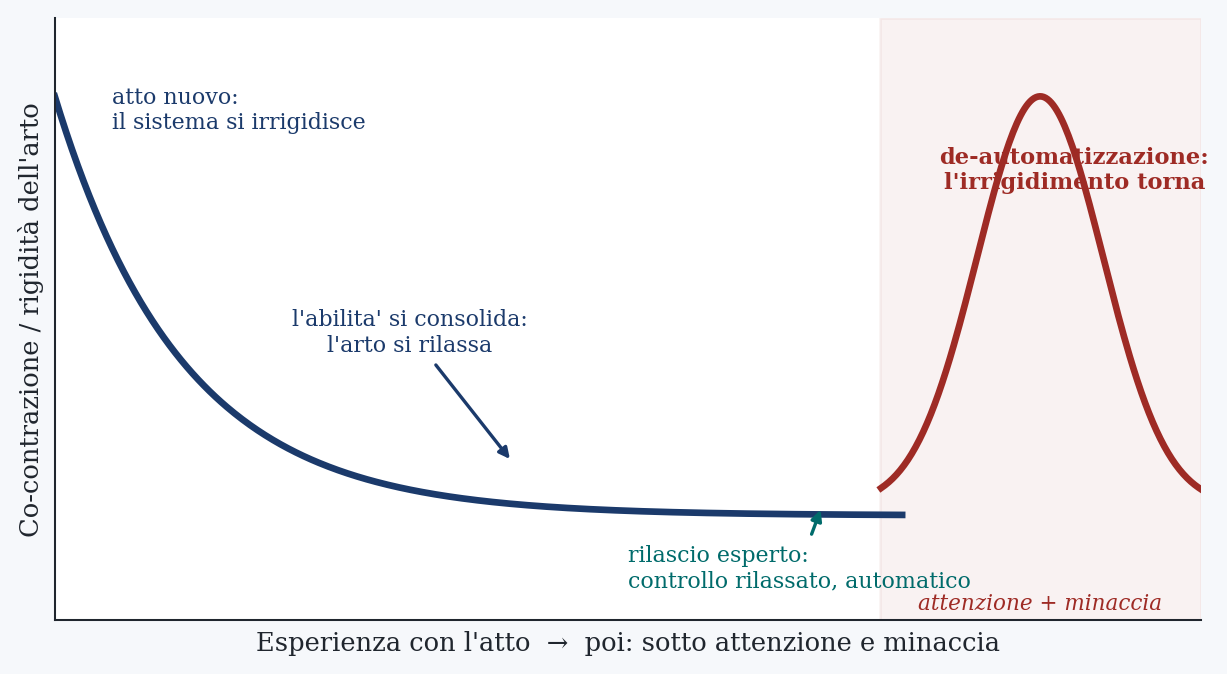 Figura 5. L’irrigidimento nell’arco dell’apprendimento. La co-contrazione è alta quando il gesto è nuovo, cala man mano che l’abilità si consolida fino a un rilascio esperto, morbido e automatico, e può tornare, sotto attenzione e minaccia. È questo ritorno che chiamo de-automatizzazione. Rappresentazione schematica originale a fini didattici. Valori rappresentativi delle tendenze, non dataset originali.